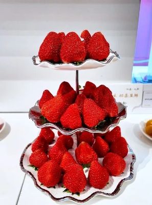 漁陽北房鮮臻品 蛇年迎春鮮享會的病人陪護(hù)服務(wù)新篇章